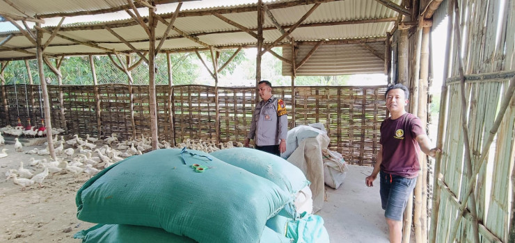 Polisi Ingatkan Pentingnya Kebersihan Kandang dan Pola Pakan dalam Beternak Bebek di Desa Segodobancang