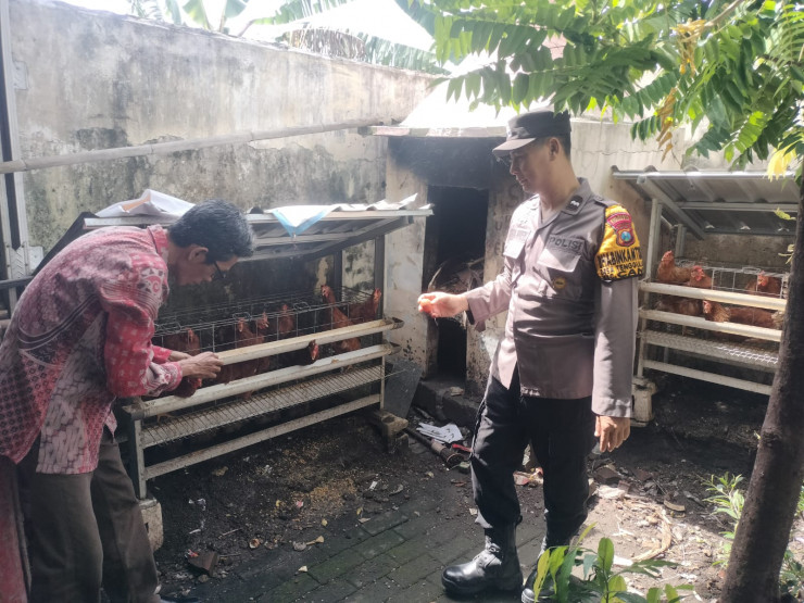 Bhabinkamtibmas Tenggulunan Cek Motivasi Warga Ternak Ayam Petelur