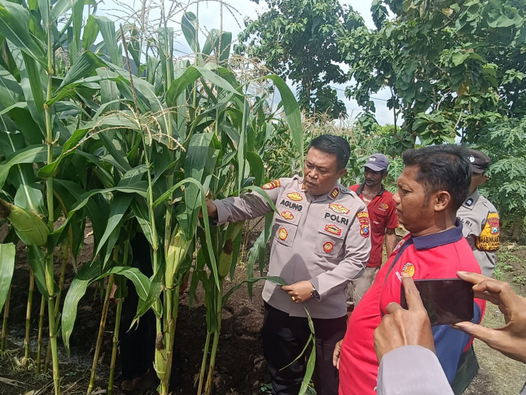 Polisi Cinta Petani, Turun Langsung Cek Lahan Ketahanan Pangan
