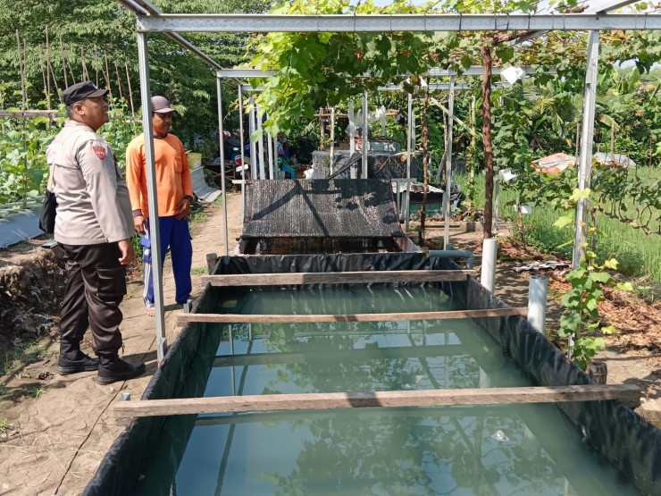 Bhabinkamtibmas Desa Lajuk Apresiasi Keberhasilan Warga dalam Budidaya Timun Mas dan Anggur