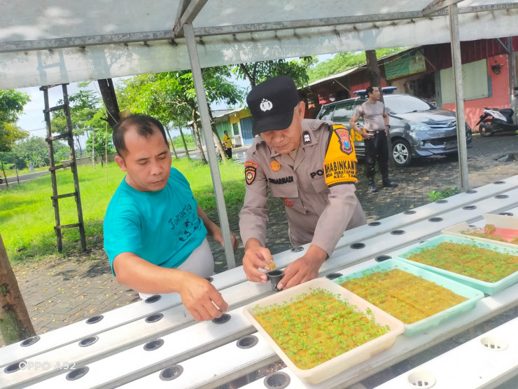 Polsek Taman Tinjau Perkembangan Sayur Hidroponik Dukung Ketahanan Pangan Warga