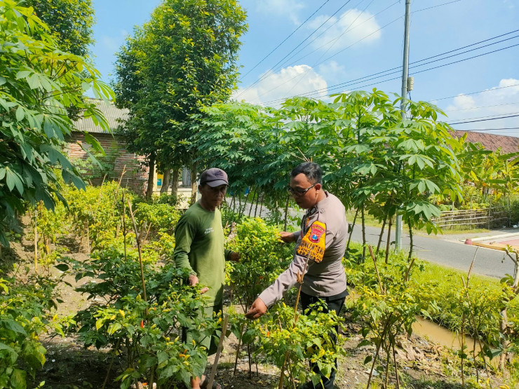 Bhabinkamtibmas Wonoplintahan Dampingi Kelompok Tani Singkong dan Cabai