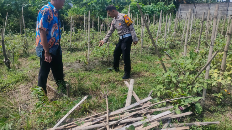 Bhabinkamtibmas Dampingi Warga Rawat Pekarangan Bergizi