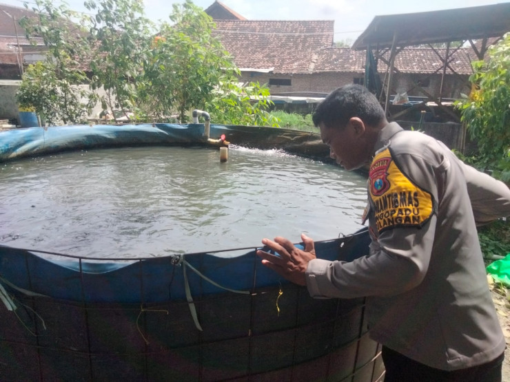 Polsek Tulangan Dampingi Budidaya Lele di Pekarangan