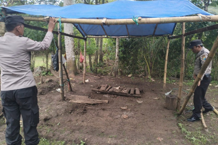 Polres Malang Kembali Bongkar Area Sabung Ayam di Kalipare