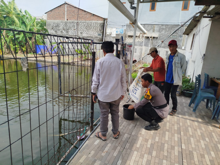Kapolsek Sedati Harapkan Budidaya Ikan Nila Meningkatkan Hasil Produksi untuk Swasembada Pangan Mandiri