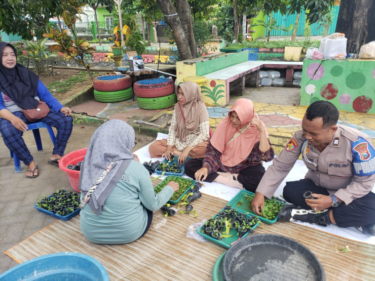 Swadaya Mandiri Kembangkan Kebun Hidroponik