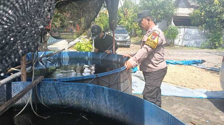 Program P2B di Candi Dapat Dukungan Polisi, Kolam Lele Jadi Sumber Gizi dan Ekonomi