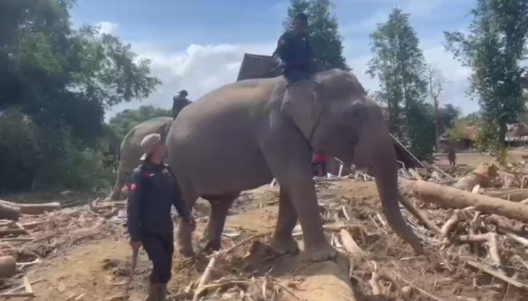 Sinergi Polri dan BKSDA : Gajah Dikerahkan Bersihkan Material Banjir di Pidie Jaya