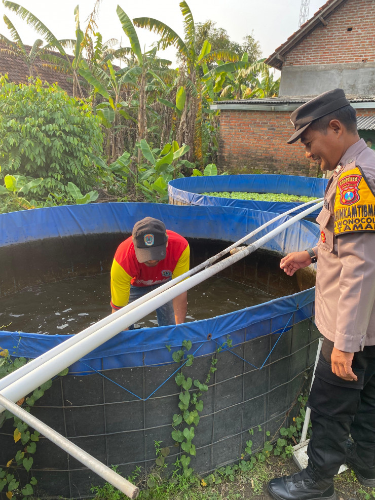 Bhabinkamtibmas Wonocolo Polsek Taman Cek Lahan Budidaya Ikan Patin, Hasil Tunjukkan Pertumbuhan Positif