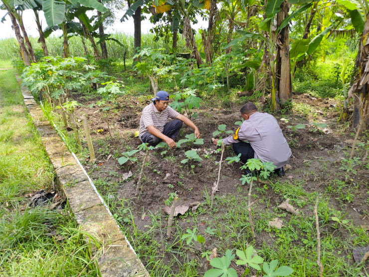 Bhabinkamtibmas Grogol Tinjau Lahan Ketahanan Pangan
